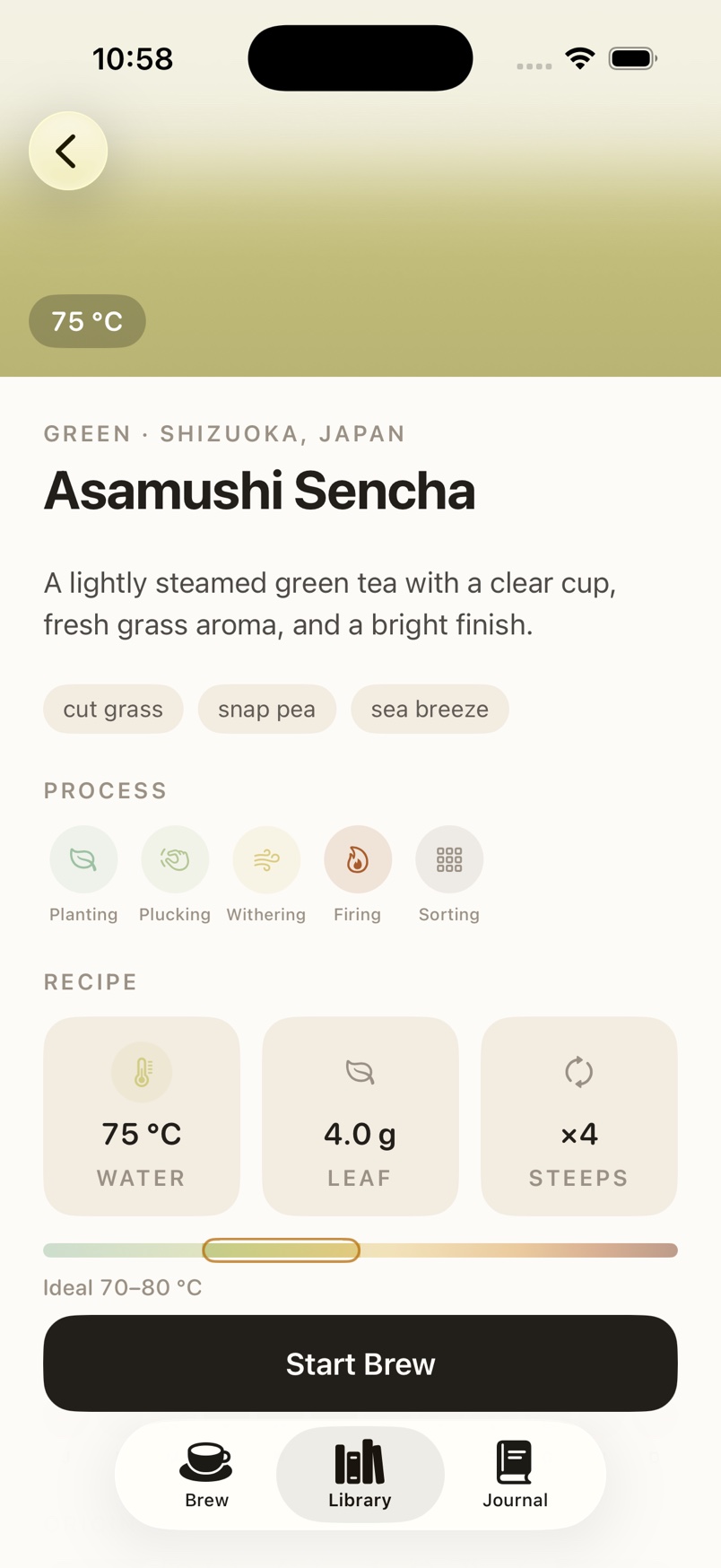Asamushi Sencha tea detail in Pekoe
